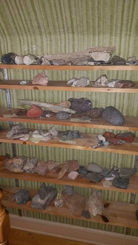 lot 58B image: Group of Various Rocks, Minerals, Petrified Wood, andor Bones