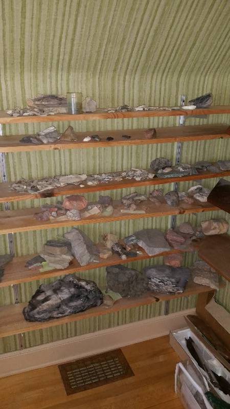 lot 58C image: Group of Various Rocks, Minerals, Petrified Wood, andor Bones