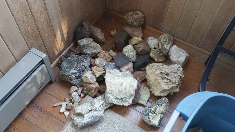 lot 58D image: Group of Various Rocks, Minerals, Petrified Wood, andor Bones