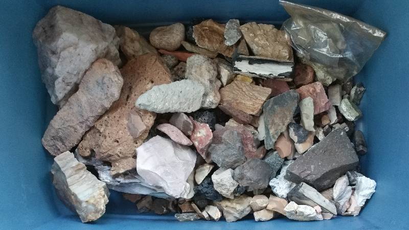 lot 58E image: Group of Various Rocks, Minerals, Petrified Wood, andor Bones