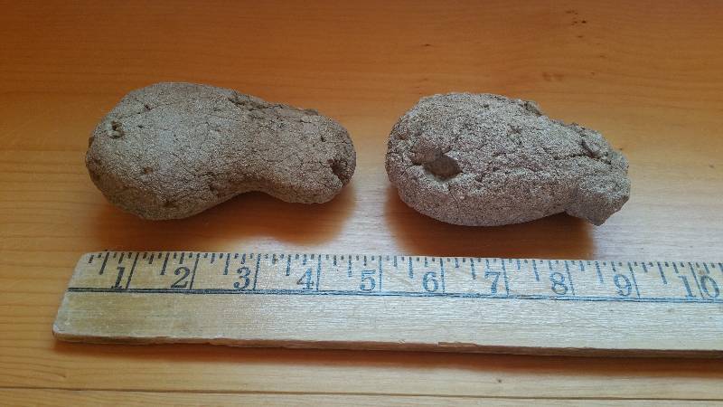lot 51E image: Native American Stone Artifact