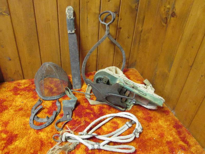 lot 33E image: Ice Tongs & Vintage Tools