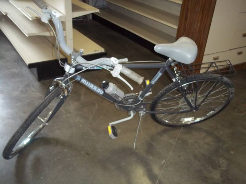 Murry 12 Speed Bike