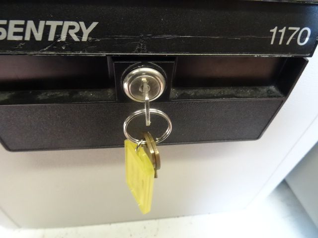 Sentry 1170 fire proof fire safe...