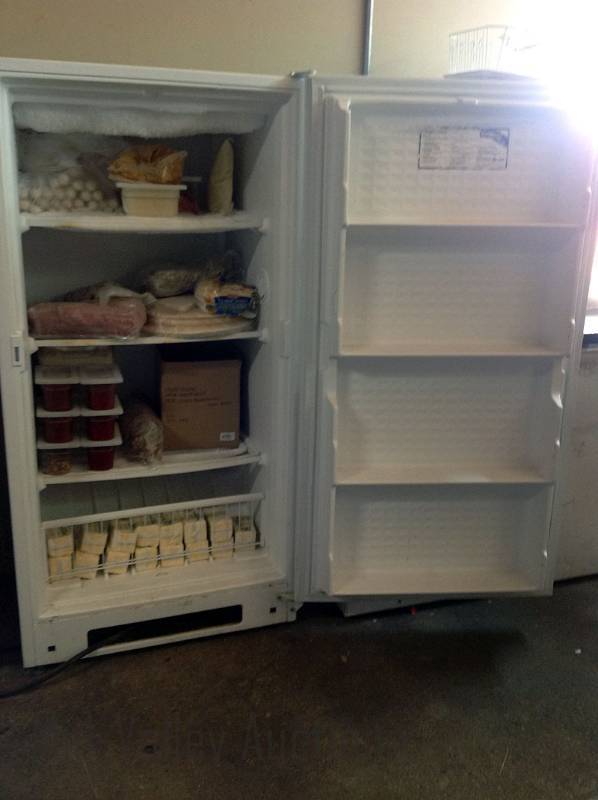 Upright Freezer