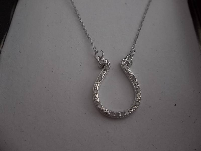 Diamond Horse Shoe Necklace
