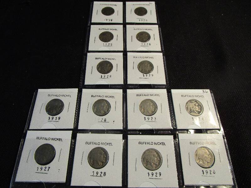 14- Buffalo Nickels