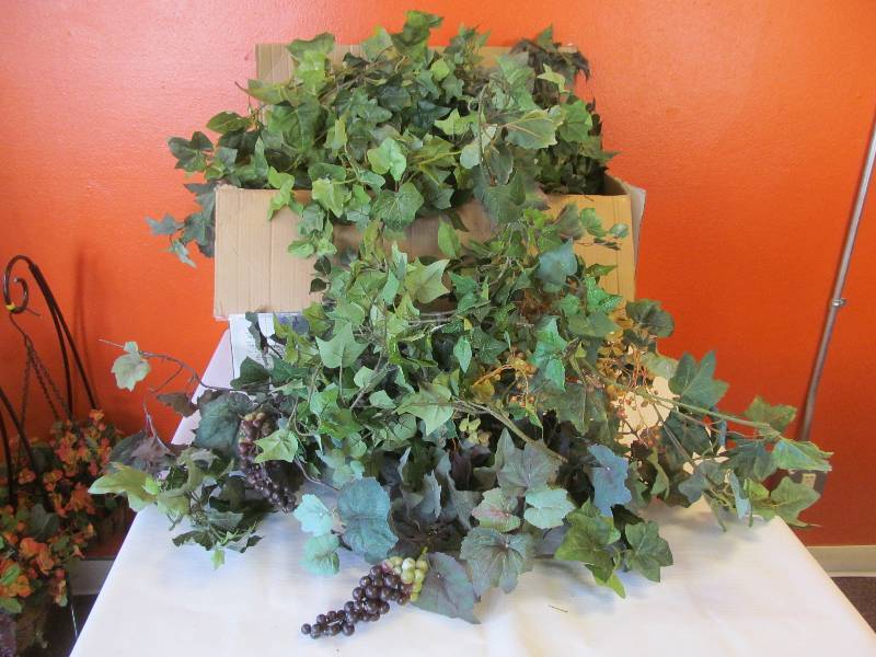 greenery vines