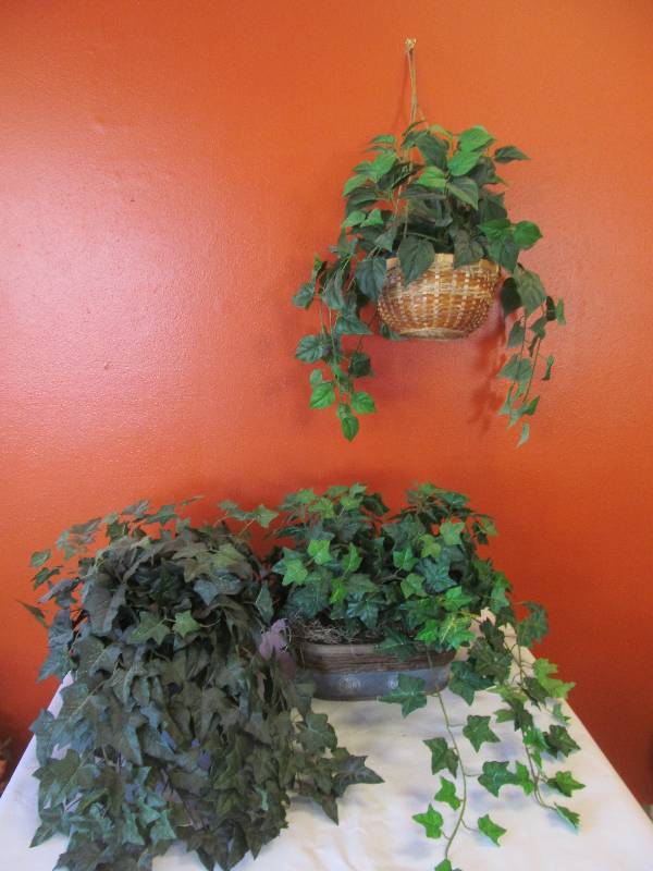 plants ,dried greenery