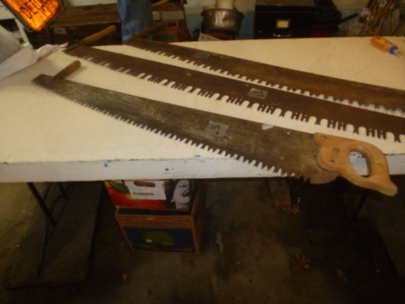 Antique Tree Saws