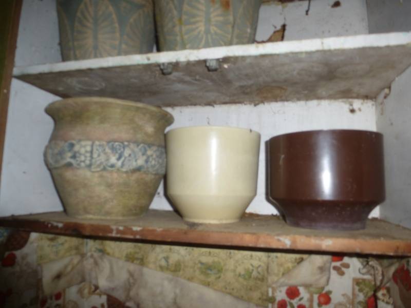 Flower Pots