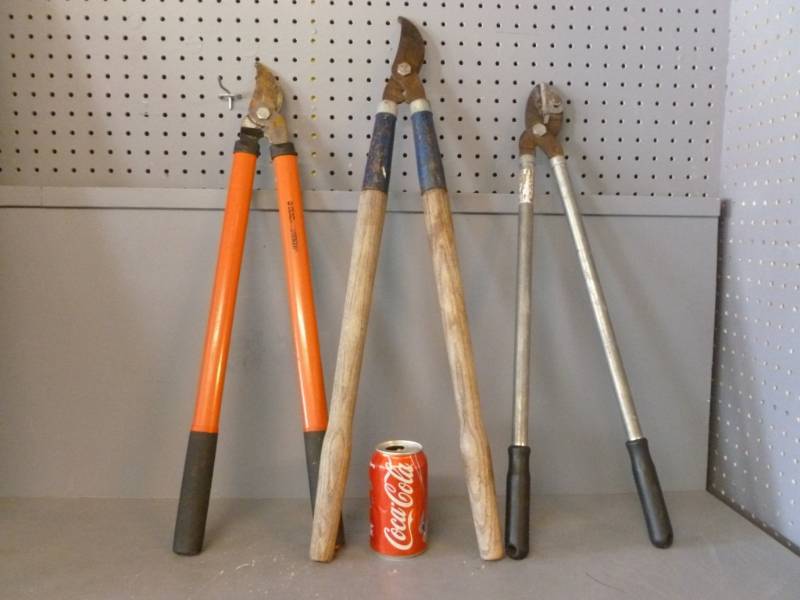 lot 25 image: Loping Shears