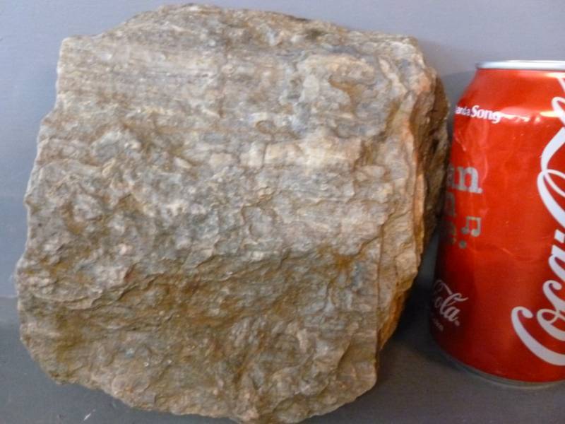 lot 67 image: Petrified Wood