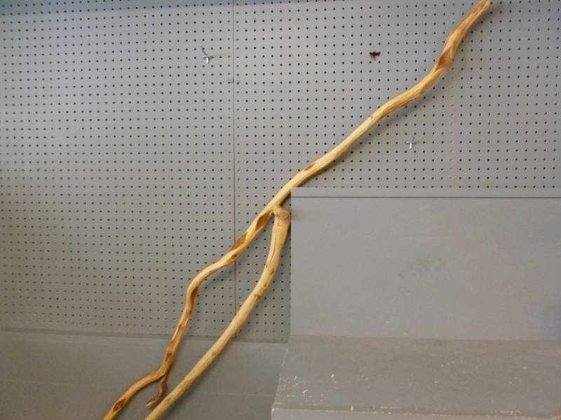 lot 69 image: Walking Sticks