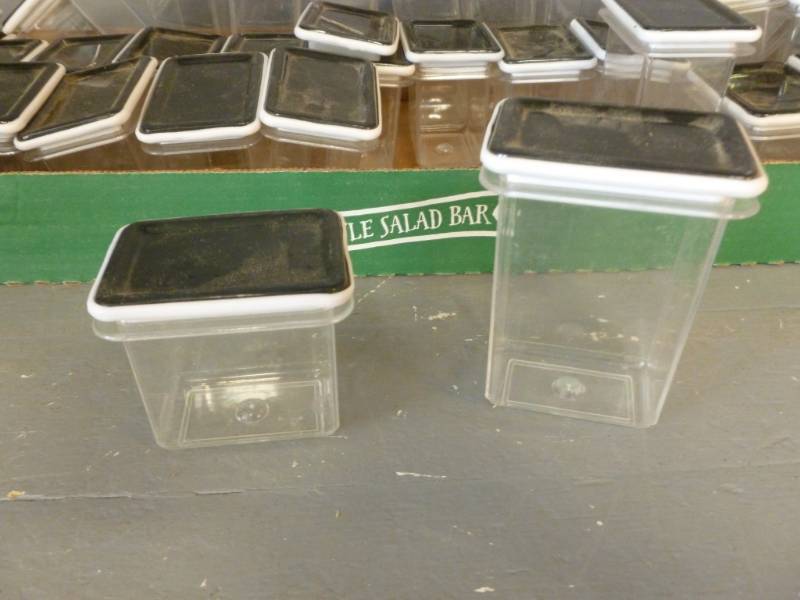 lot 212 image: Display Cases