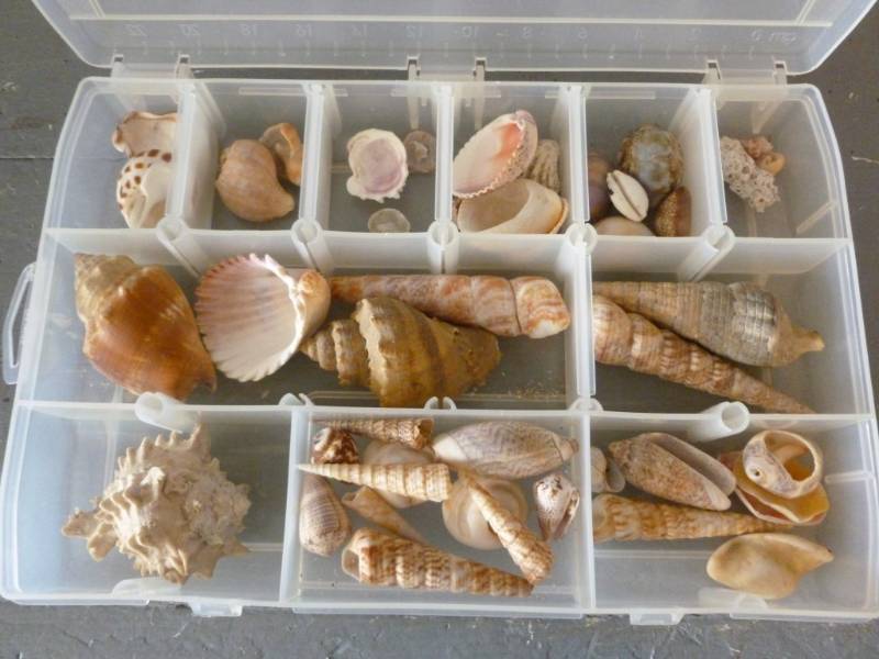 lot 235 image: Jewelry Making Items