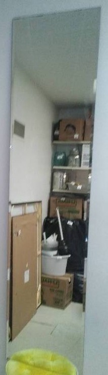 Slender Beveled Mirror 68 x 16