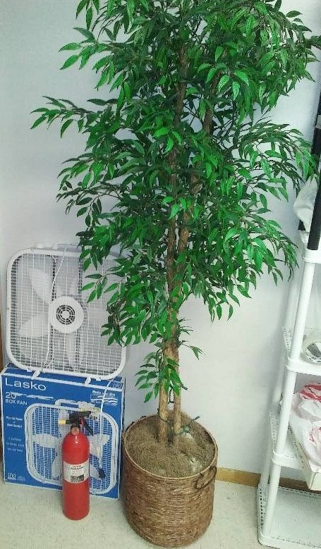 Tree, Fan, Fire extinguisher