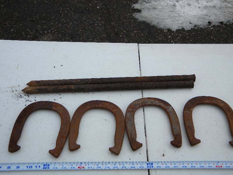 Horseshoe Set
