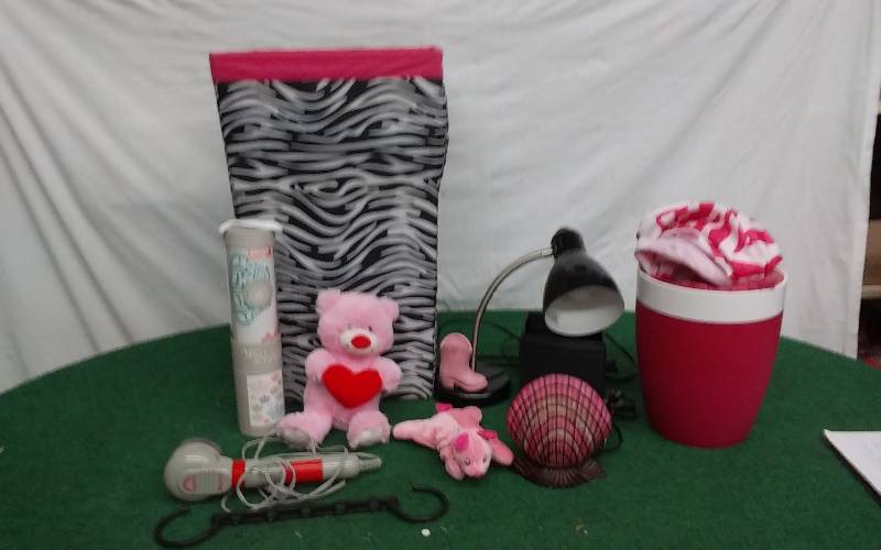 lot 24 image: Zebra Hamper, Shell Lamp, Rug Shower Curtain, Desk Lamp, Massager, Decor