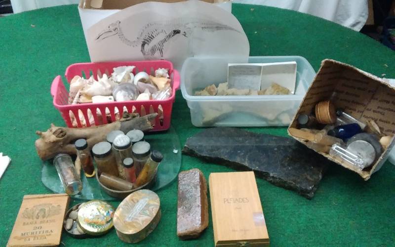 lot 85 image: Lot Of Sea Shells, Specimens, Fossils,Stone Slab