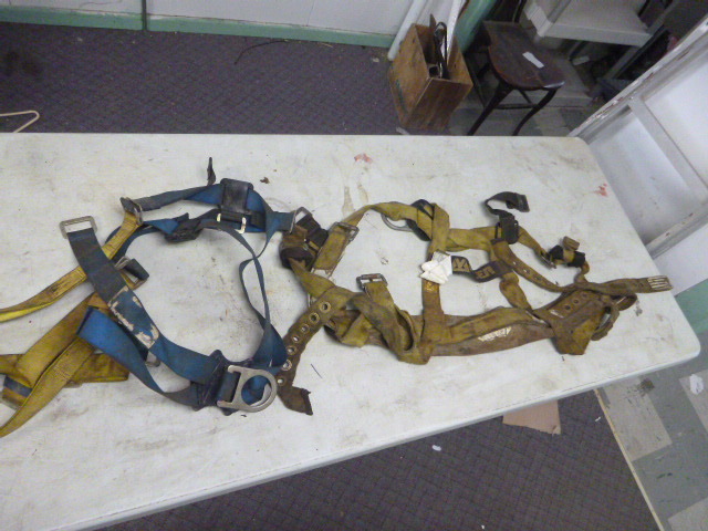 lot 199 image: 2 Safety Harnesses