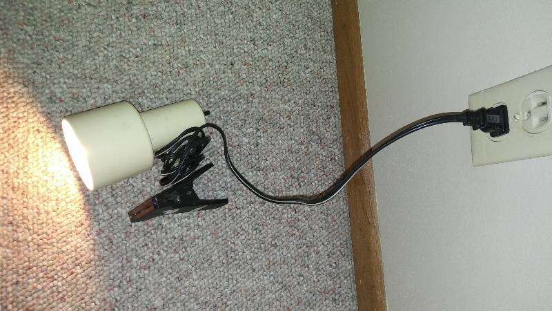 lot 49 image: Clip On Lights