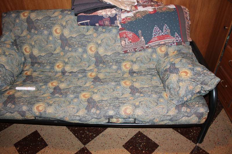 Futon Couch