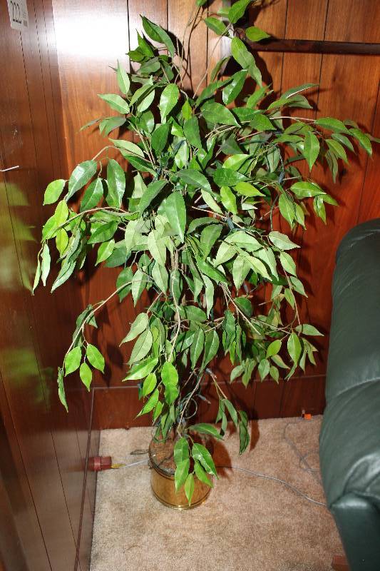 Lot of (3) Fake Plants - 2) Hanging, 1) Floor