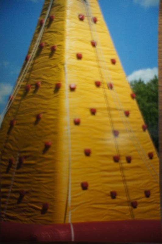 King of the Mountain Rockwall 18 oz pvc 25 ft high . Comes with ropes and harnesses.  Great event piece.