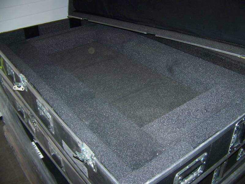 lot 6 image: Hard-Sided, Padded Inside, LARGE, Travel  Storage Case