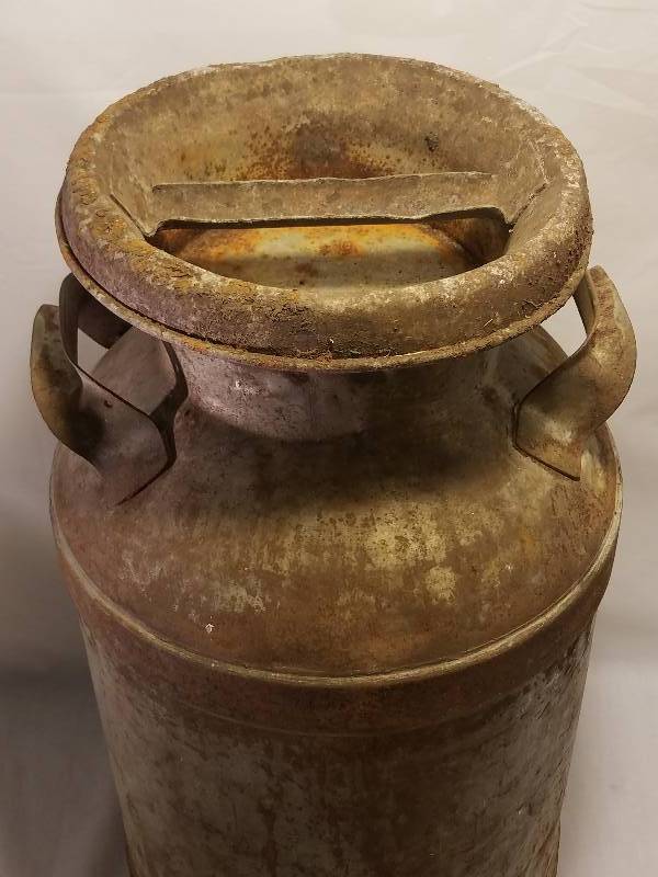 lot 229 image: ANTIQUE MILK JUG