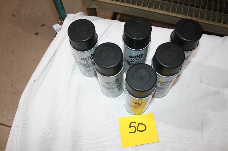 Quick Color Spray Paint Black