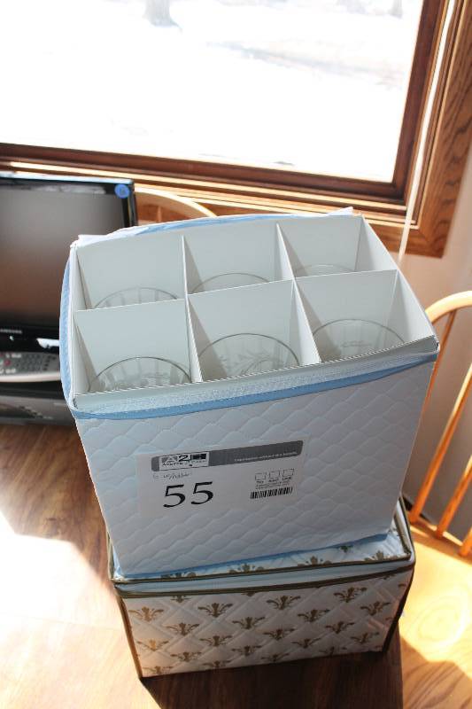Lot of (6) Etched-Glass Wine Glasses w Padded Storage Bin
