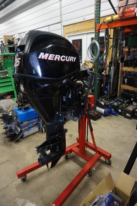 lot 8 image: 2010 Mercury 25 hp EFI 4 Stroke Outboard Motor