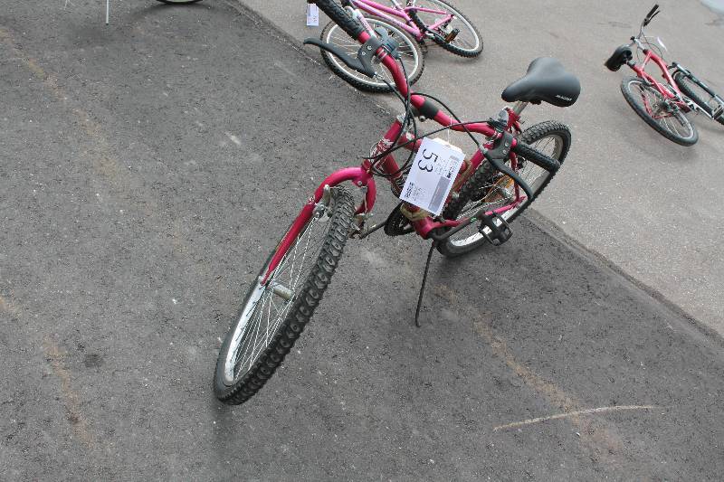 lot 53 image: Magna Glacier Point  Trail Bike with Red 16in. Frame, 20in. Wheel