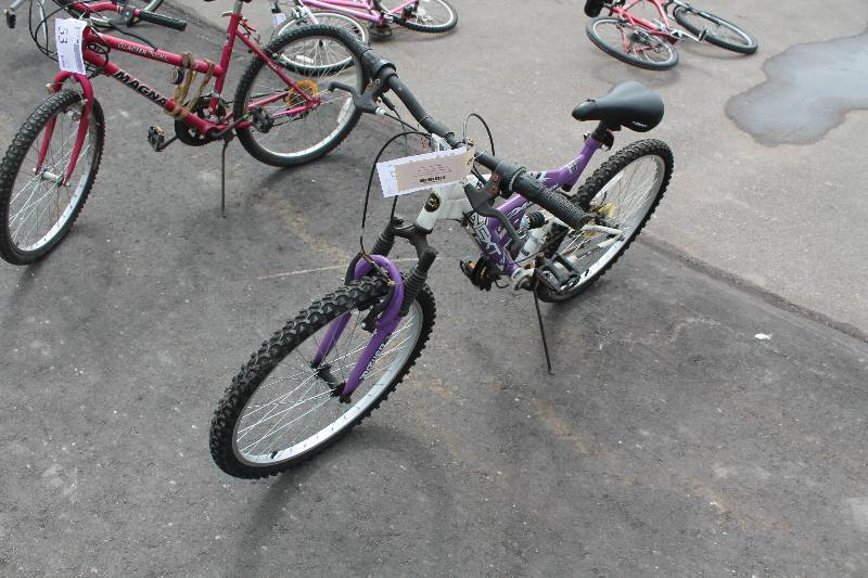 lot 54 image: Next  PowerClimber  Trail Bike with Purple 16in. Frame, 20in. Wheel