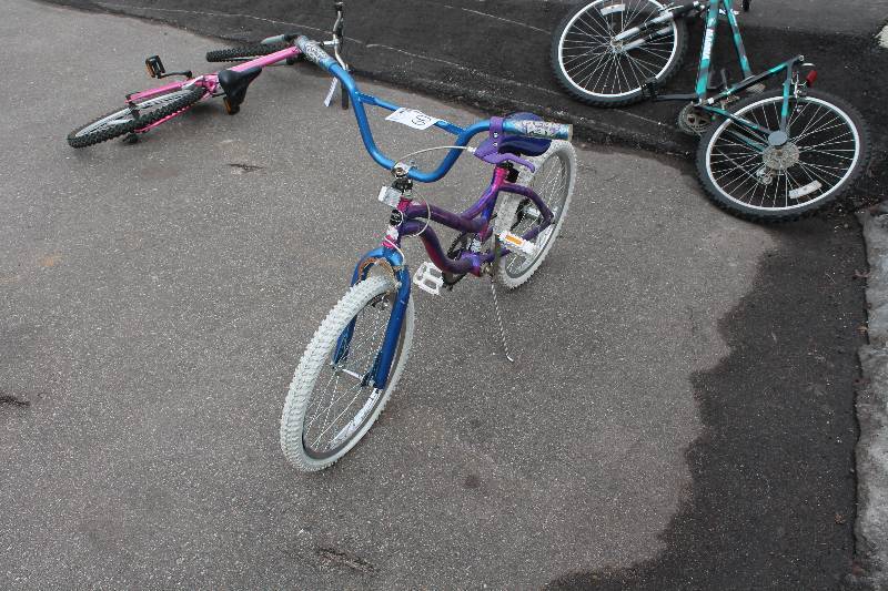 lot 60 image: Magna Precious Pearls  Kids Bike with Purple 12in. Frame, 18in. Wheel