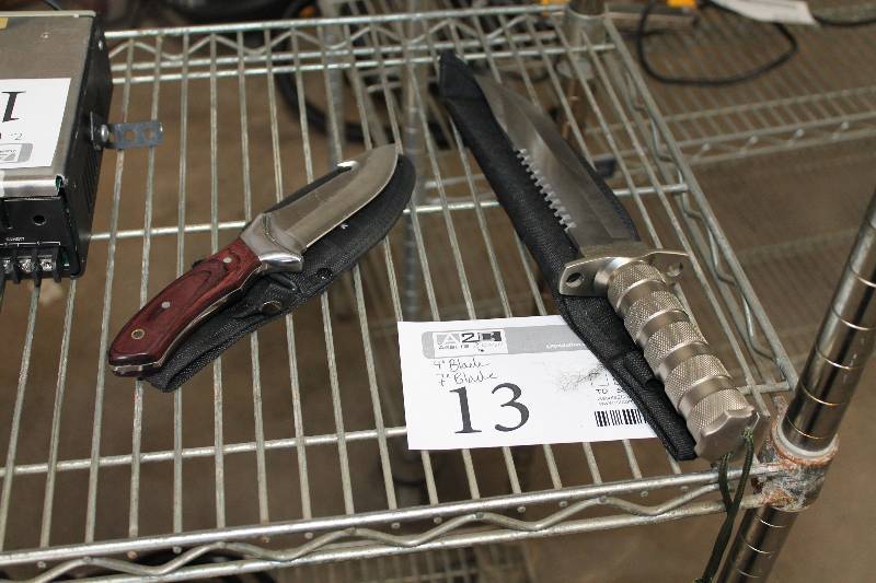 lot 13 image: Lot of (2) Hunting Knives w Sheaths
