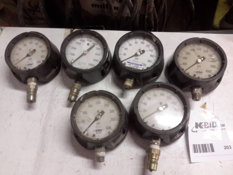 lot 203 image: 6 Gauges as shown