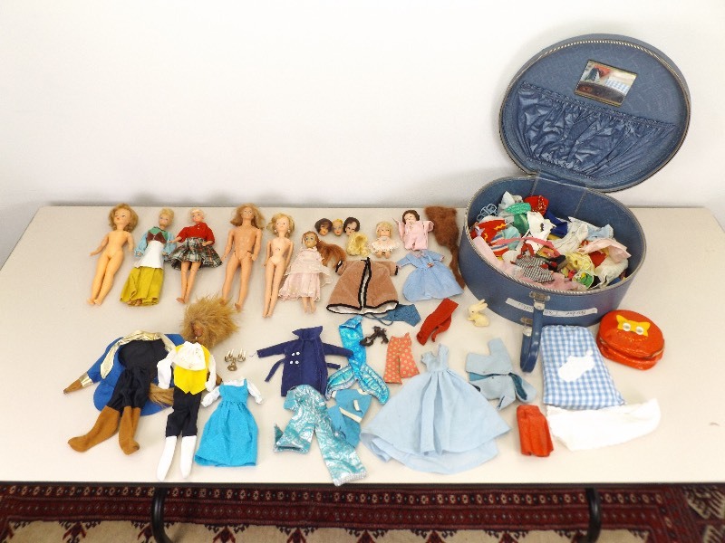 Lot of Barbie etc. Dolls, and Accessories in Case