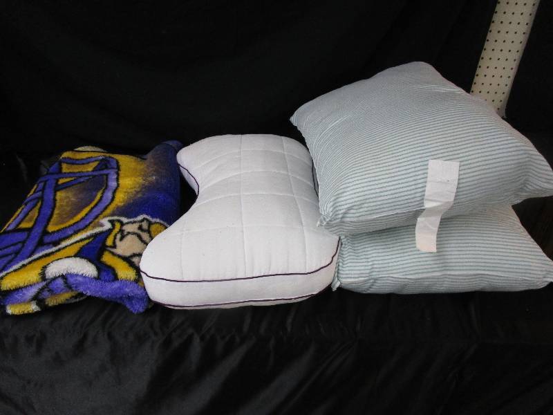Vikings Throw and Pillows