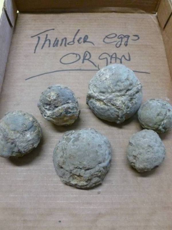 Oregon Thunder Egg Rocks