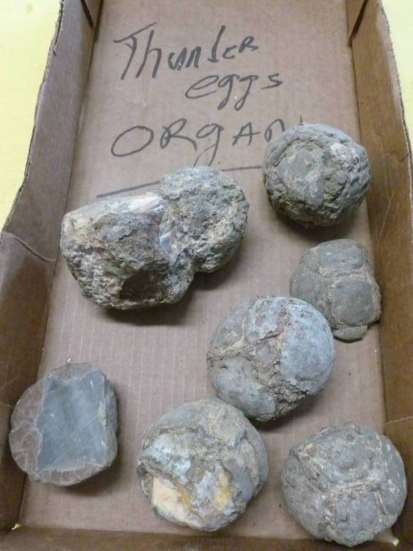 Oregon Thunder Egg Rocks