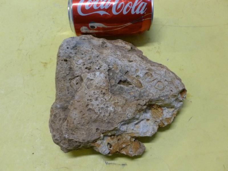 Fossil Rock