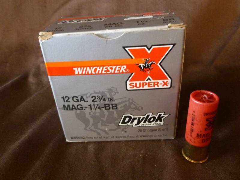 Shotgun Shells