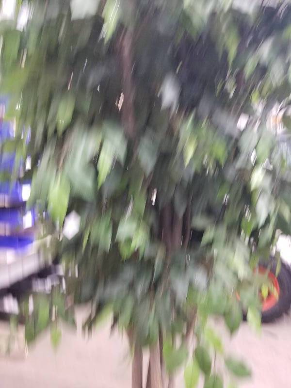 Fake Tree