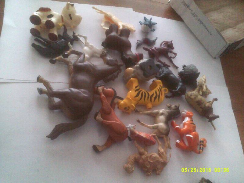 ANIMALS