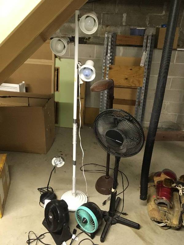 lot 107 image: Group of Fans & Lights