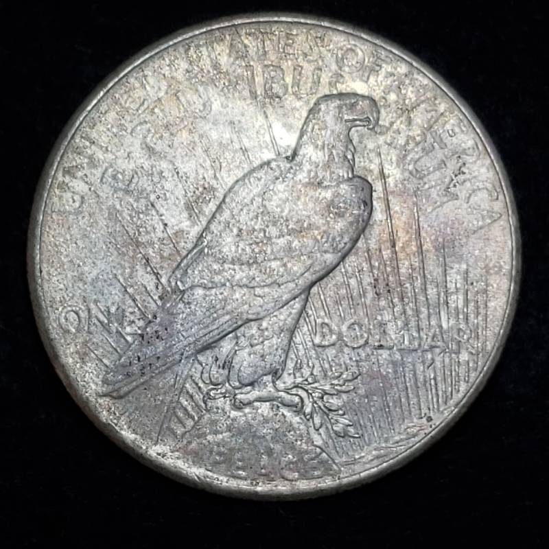 lot 217 image: 1925 P Silver Peace Dollar
